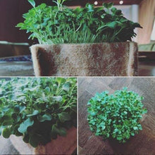 Eco Friendly Jute Plant Pots