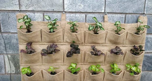 eco friendly plant pots