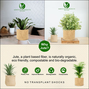 Eco Friendly Plant Pots Melbourne