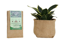 biodegradable plant pots australia